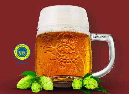 Gambrinus 10 nepaster na čepu!!!